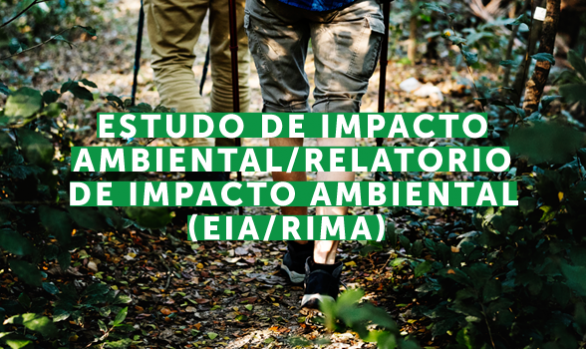 Estudo de Impacto Ambiental/Relatório de Impacto Ambiental (EIA/RIMA)
