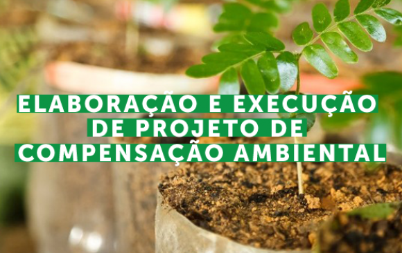 Elaboração e execução de projeto de compensação ambiental