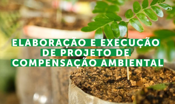 Elaboração e execução de projeto de compensação ambiental