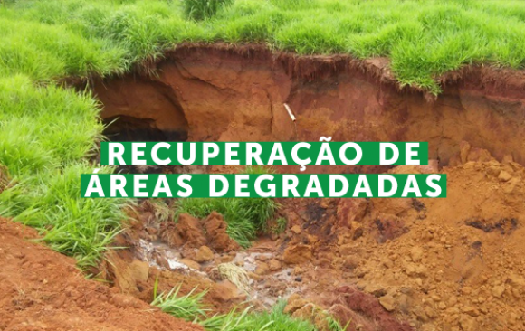 Elaboração e Execução de Projetos de Recuperação de Áreas Degradadas