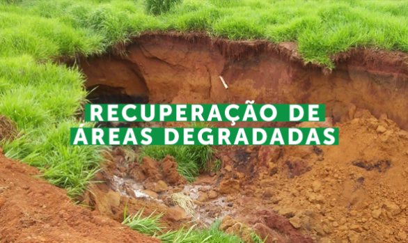 Elaboração e Execução de Projetos de Recuperação de Áreas Degradadas