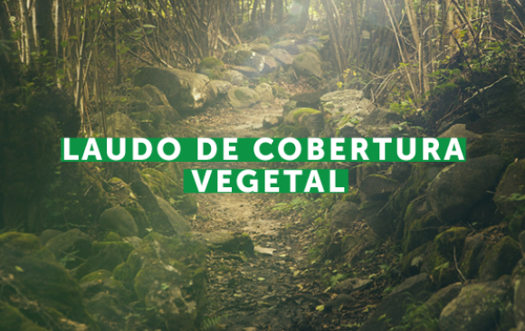 Laudo de Cobertura Vegetal