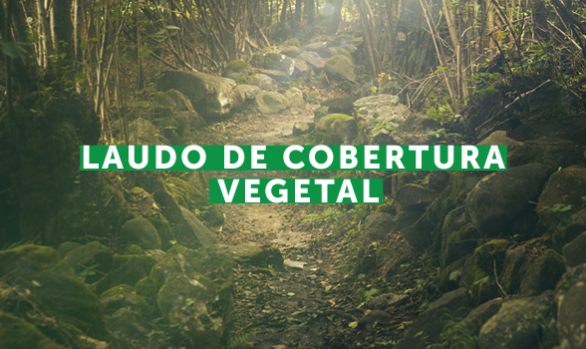 Laudo de Cobertura Vegetal