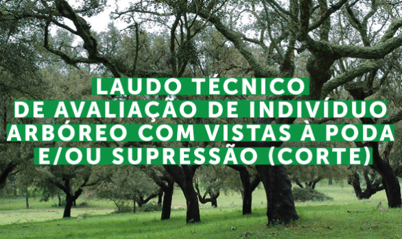 Laudo Técnico de Avaliação de Indivíduo Arbóreo com vistas à poda e/ou supressão (corte)